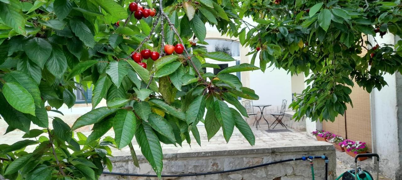 Apartamento Locazione Turistica San Giorgio Putignano Exterior foto